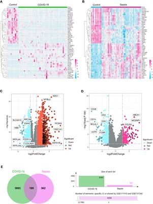 A hub gene signature as a therapeutic target and biomarker for sepsis and geriatric sepsis-induced ARDS concomitant with COVID-19 infection